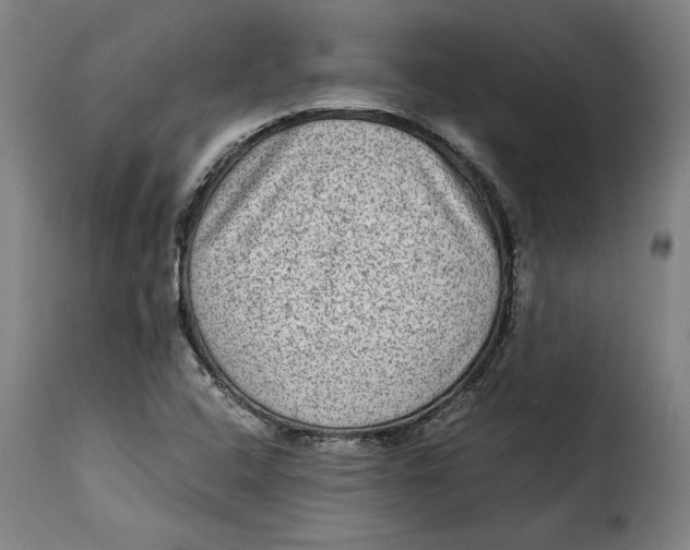 X0000115281408200911201741