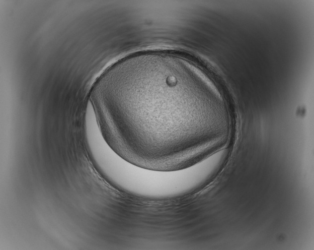 X0000115281409200911201741