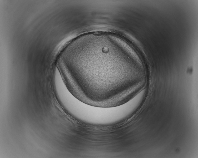 X0000115281411200911201741