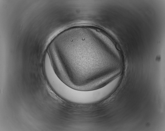 X0000115281413200911201741