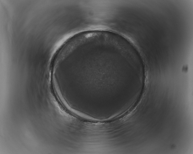 X0000115281414200911201741