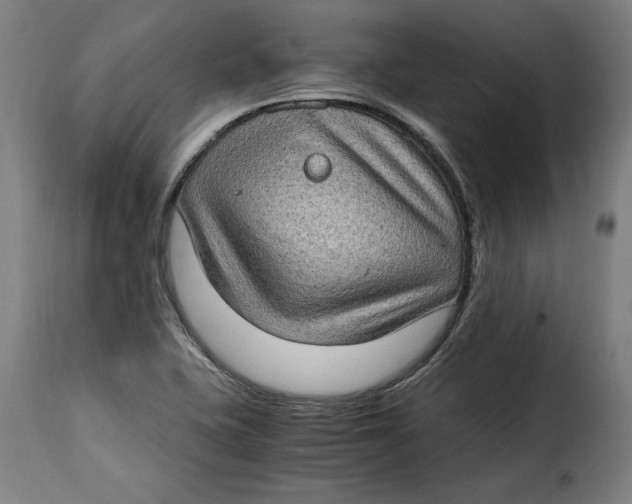 X0000115281415200911201741