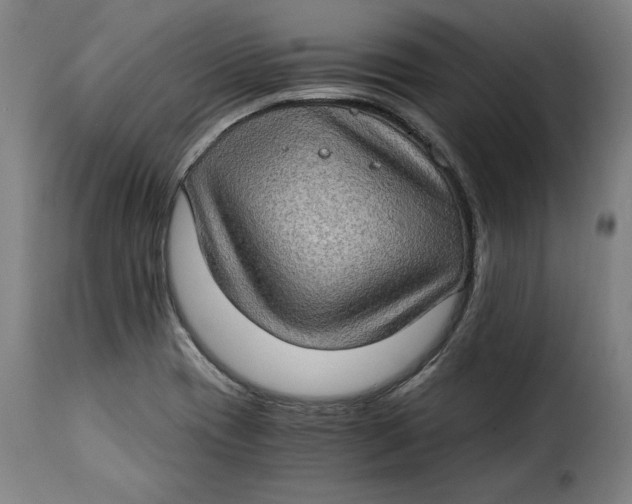 X0000115281417200911201741