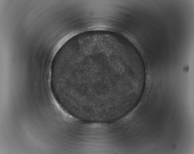 X0000115281418200911201741