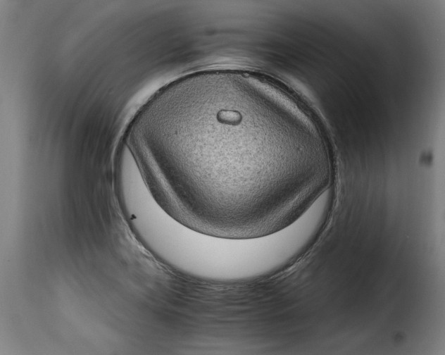 X0000115281419200911201741