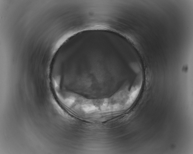 X0000115281422200911201741