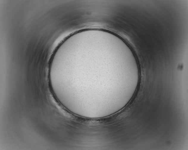 X0000115281424200911201741