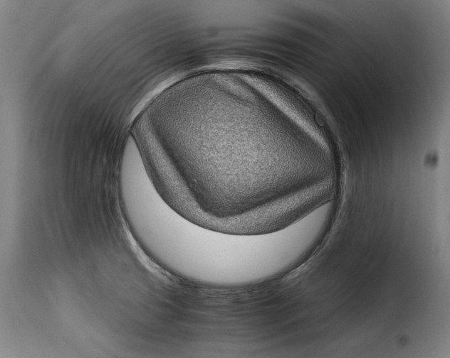 X0000115281425200911201741