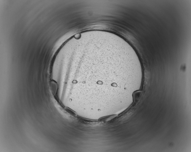 X0000115281426200911201741