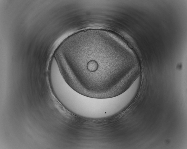 X0000115281427200911201741