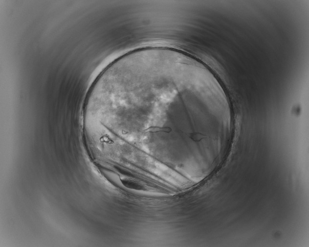 X0000115281428200911201741