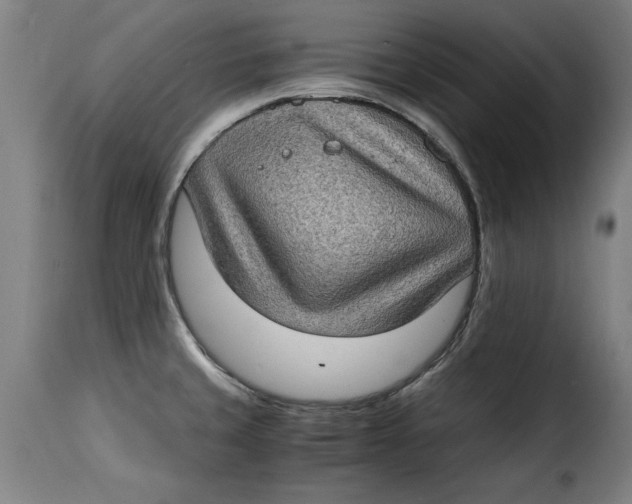 X0000115281429200911201741