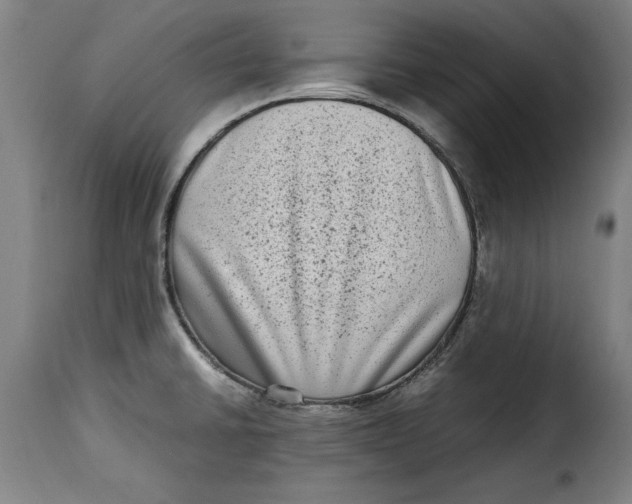 X0000115281430200911201741