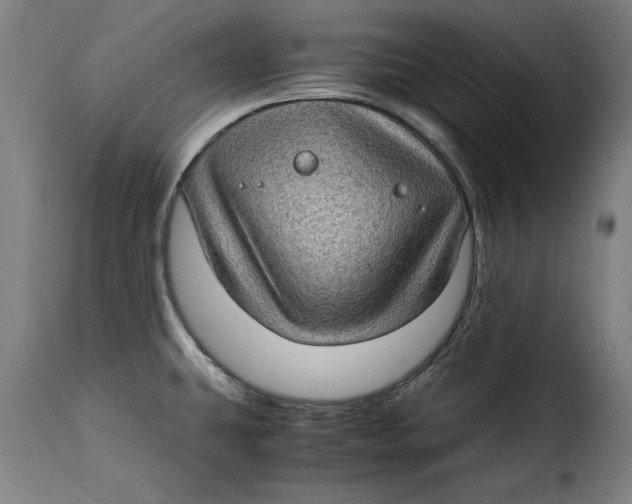 X0000115281431200911201741