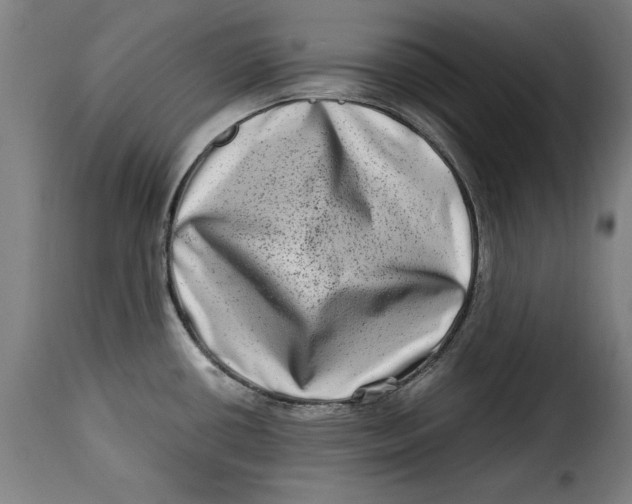 X0000115281434200911201741