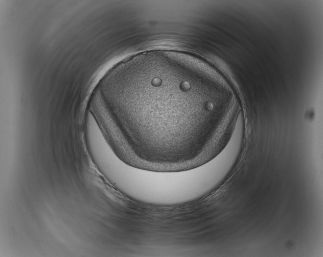 X0000115281435200911201741