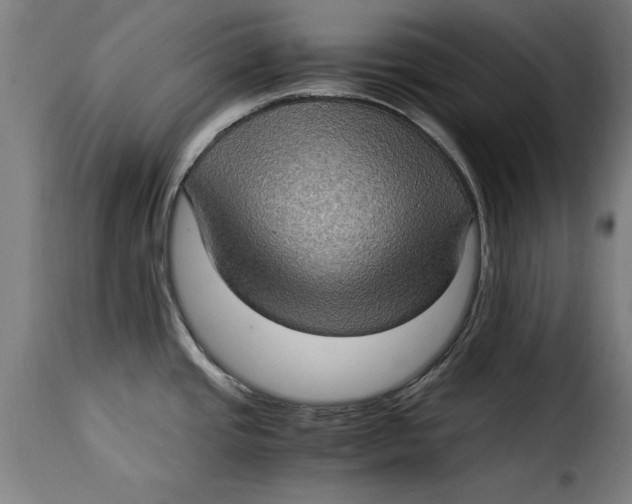 X0000115281437200911201741