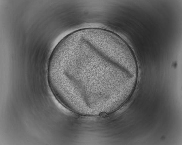 X0000115281438200911201741