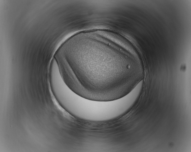 X0000115281439200911201741