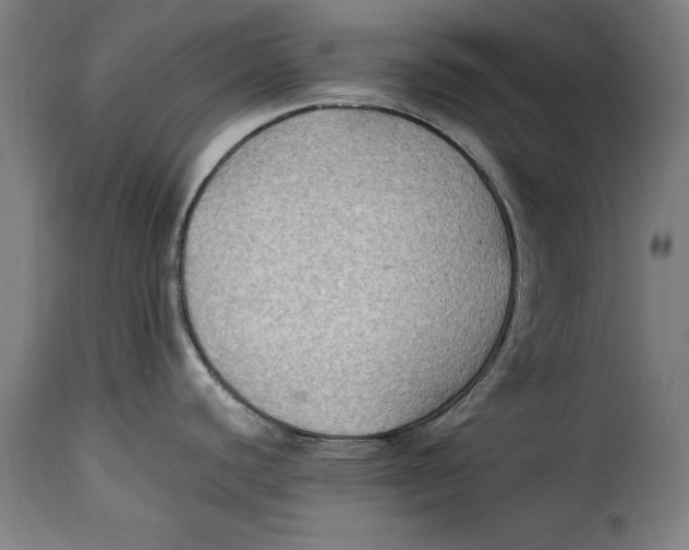 X0000115281440200911201741