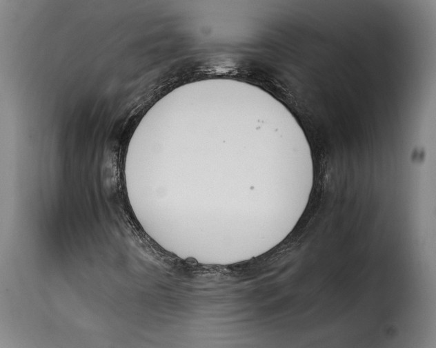 X0000115281442200911201741