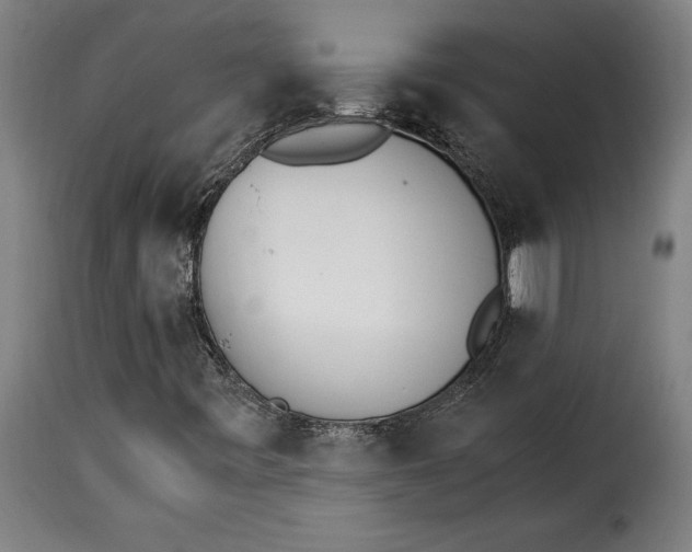 X0000115281443200911201741