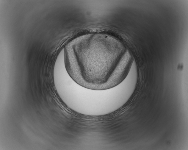 X0000115281444200911201741