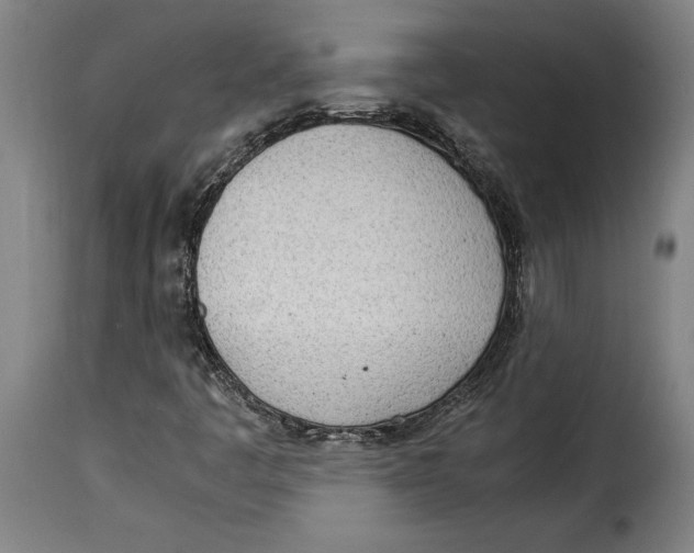 X0000115281445200911201741