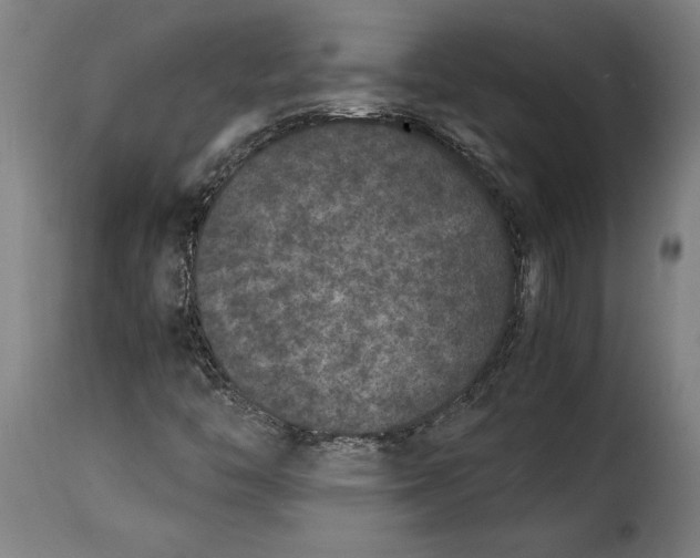 X0000115281446200911201741