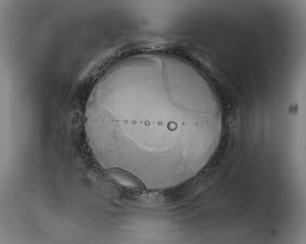 X0000115281447200911201741