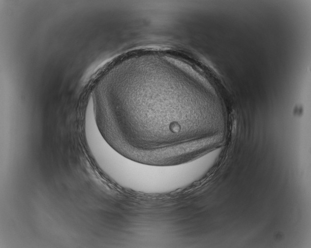 X0000115281448200911201741