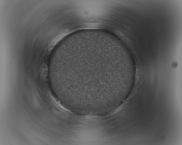 X0000115281449200911201740