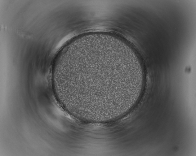 X0000115281450200911201740