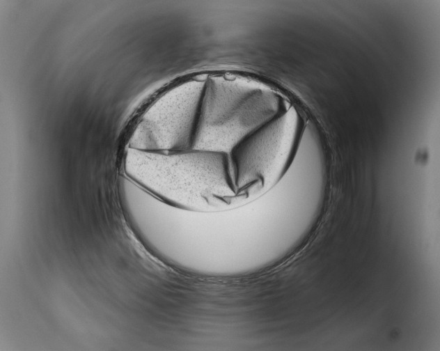 X0000115281452200911201740