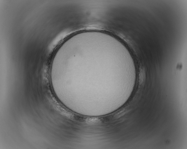 X0000115281454200911201740