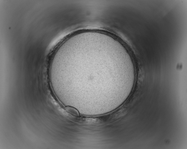 X0000115281456200911201740