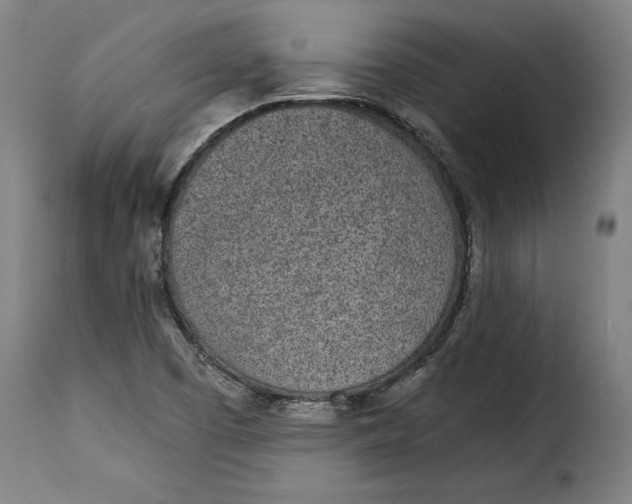 X0000115281457200911201740