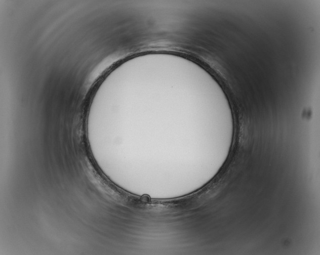 X0000115281458200911201740