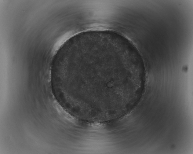 X0000115281459200911201740