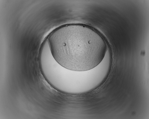 X0000115281460200911201740