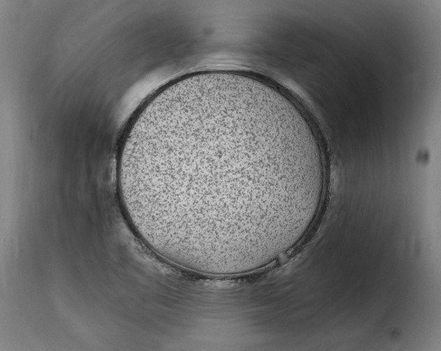 X0000115281461200911201740