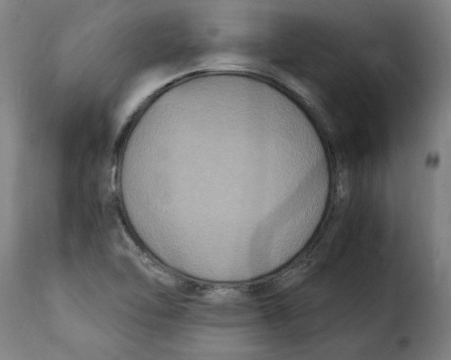 X0000115281462200911201740