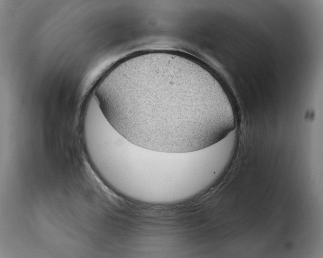 X0000115281464200911201740