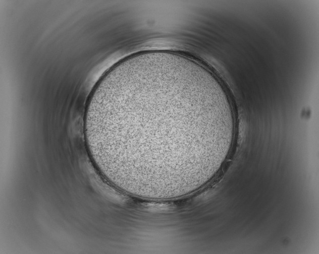 X0000115281465200911201740