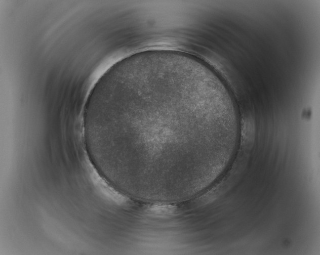 X0000115281466200911201740