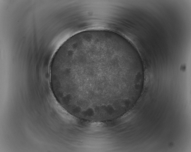 X0000115281467200911201740