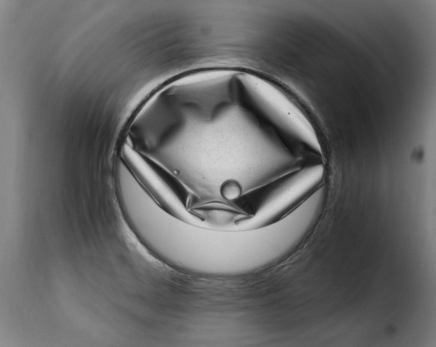 X0000115281468200911201740