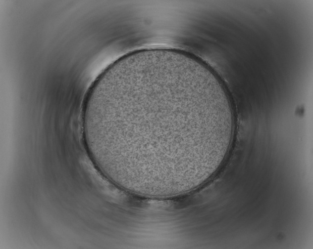 X0000115281469200911201740