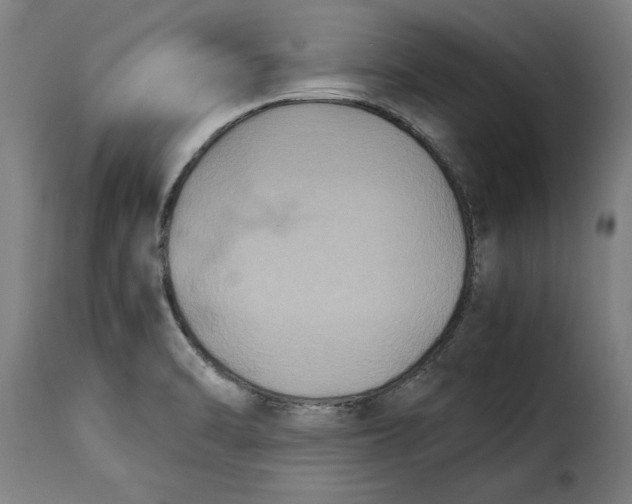 X0000115281470200911201740