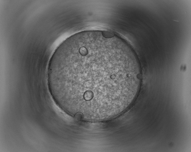 X0000115281471200911201740